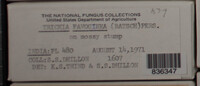 Image Associated With the Occurence